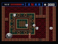 une photo d'Ã©cran de The Treasure Of Usas sur MSX